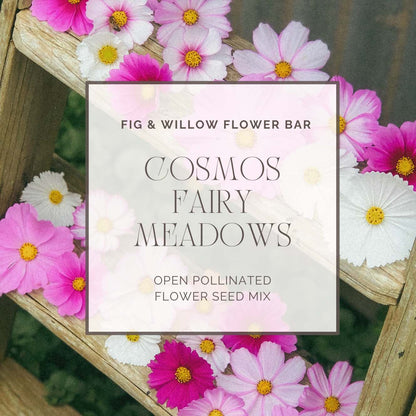 Cosmos Fairy Meadows Wildflower Seed Mix