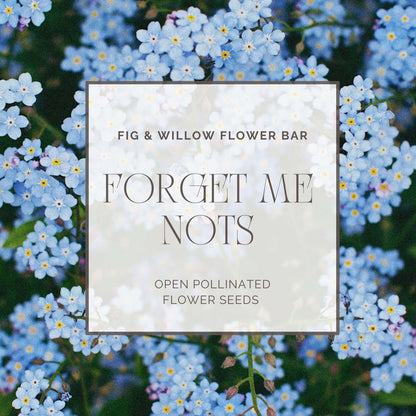 Forget me nots - Indigo Blue