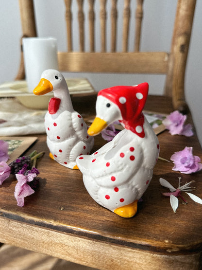 Flower Seed Shaker Set - Ducks