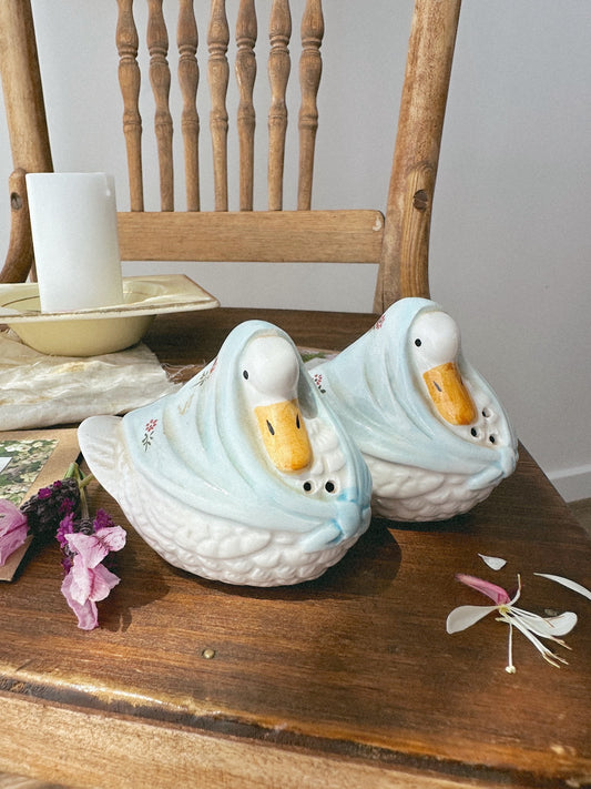 Flower Seed Shaker Set - Mother Ducks