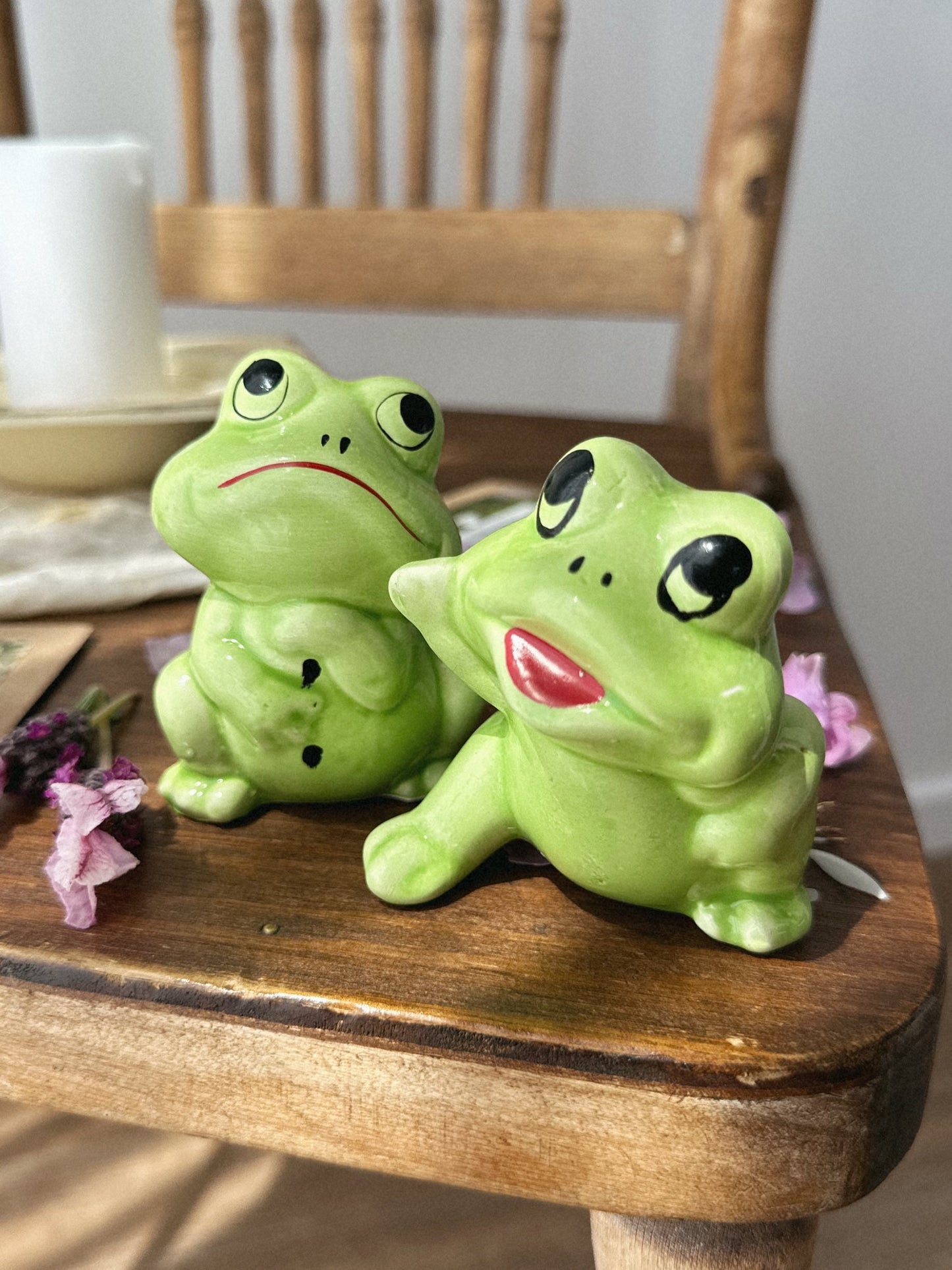 Flower Seed Shaker Set - Frogs