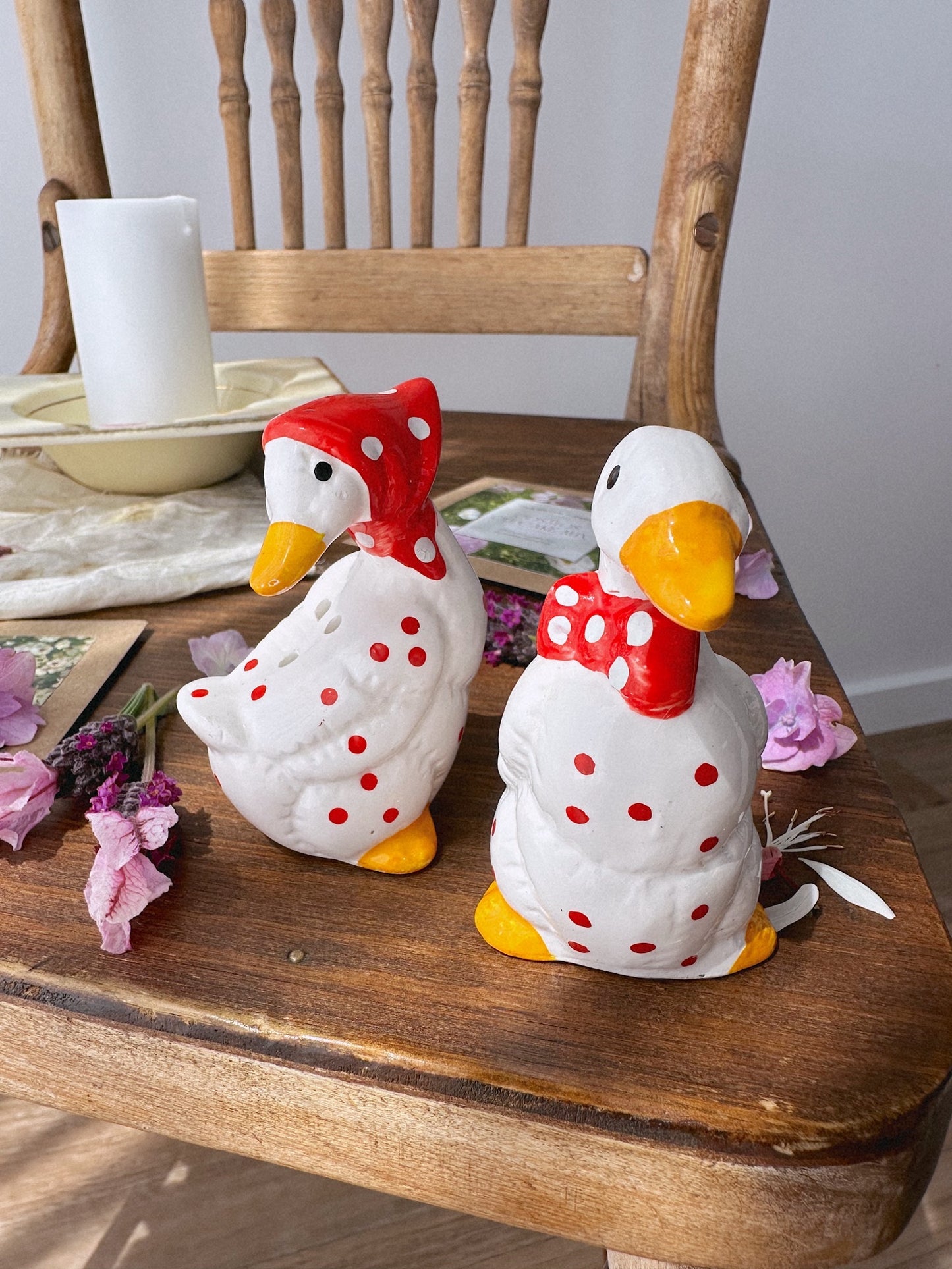 Flower Seed Shaker Set - Ducks