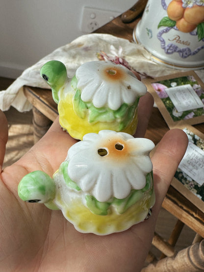 Flower Seed Shaker Set - Turtles