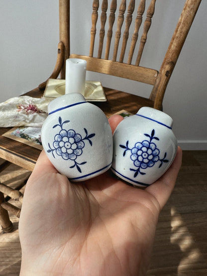 Flower Seed Shaker Set - Vintage Blue